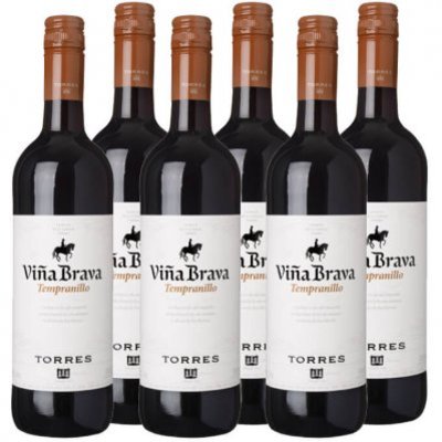 Torres Viña Brava Tempranillo
